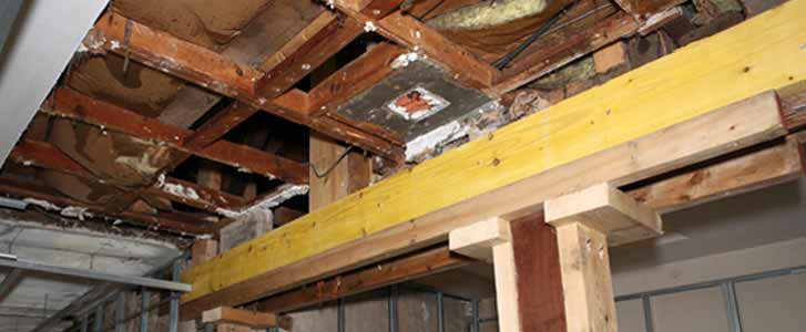 Wood rafters in basement with termite damage.